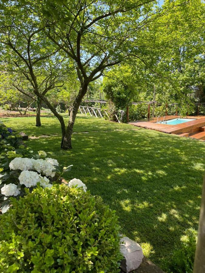 Villa Spartano Sant'Agata Sui Due Golfi Massalubrense Massa Lubrense Ngoại thất bức ảnh